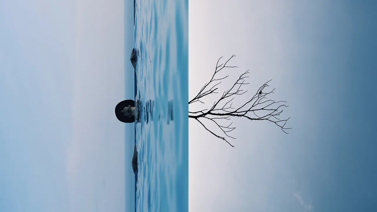 Island with a tree, Parallel Perceptions series