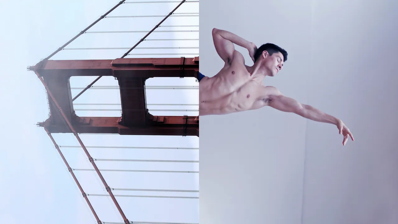 Body and bridge mirrored, Parallel Perceptions