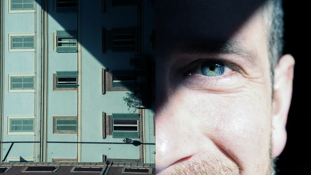 Facade and face mirrored, Parallel Perceptions