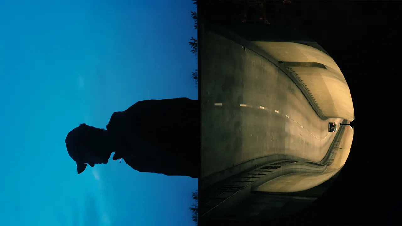 Silhouette and tunnel, Parallel Perceptions