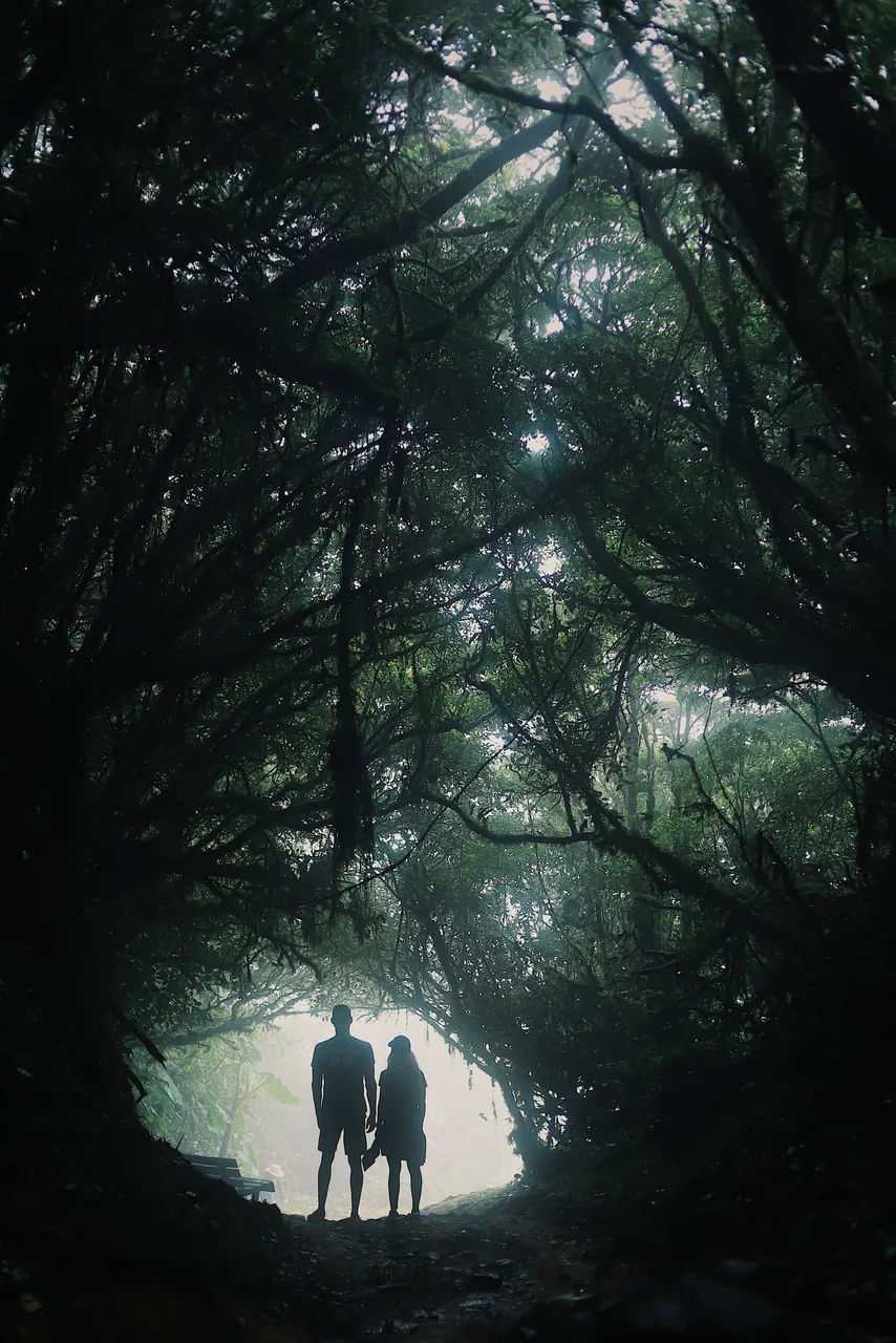 Pareja en un túnel de árboles