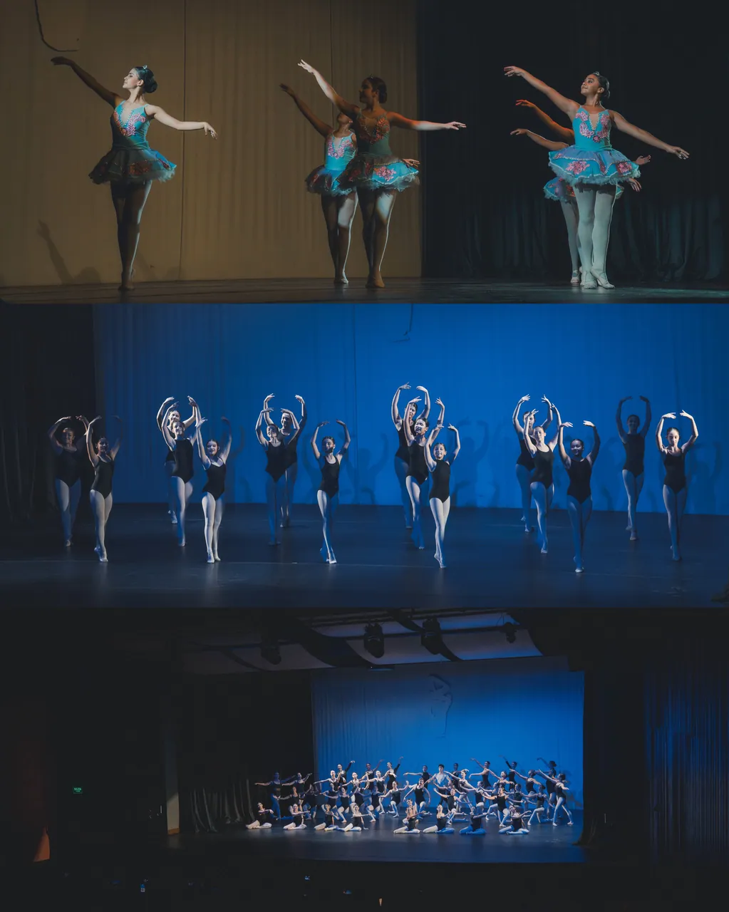 Funciones del Festival de Ballet San José